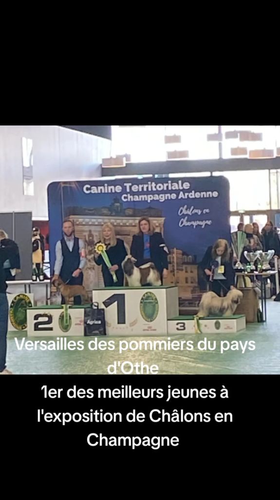 des Pommiers du Pays d'Othe - Cacs Châlons en Champagne 22.02.2025