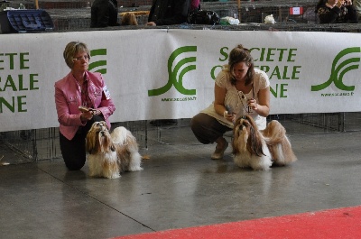 des Pommiers du Pays d'Othe - AMIENS 30.04.2011