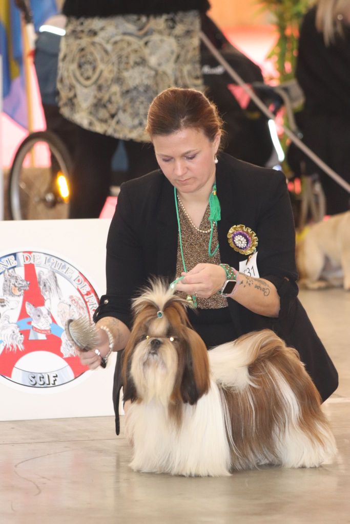 des Pommiers du Pays d'Othe - Paris dog show 2023
