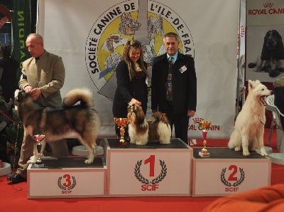 des Pommiers du Pays d'Othe - Paris dog Show 2012