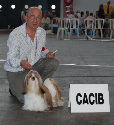 des Pommiers du Pays d'Othe - CACIB Lyon