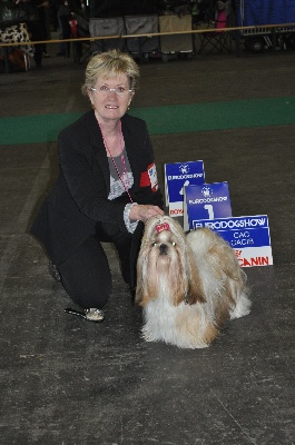 des Pommiers du Pays d'Othe - Fan-nhy - Courtrai 2011