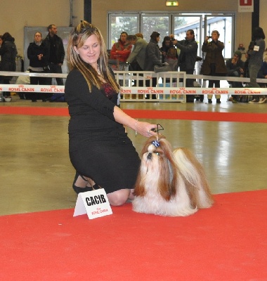 des Pommiers du Pays d'Othe - Paris dog Show 2012