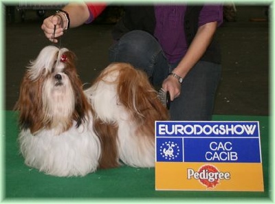 des Pommiers du Pays d'Othe - EURODOGSHOW