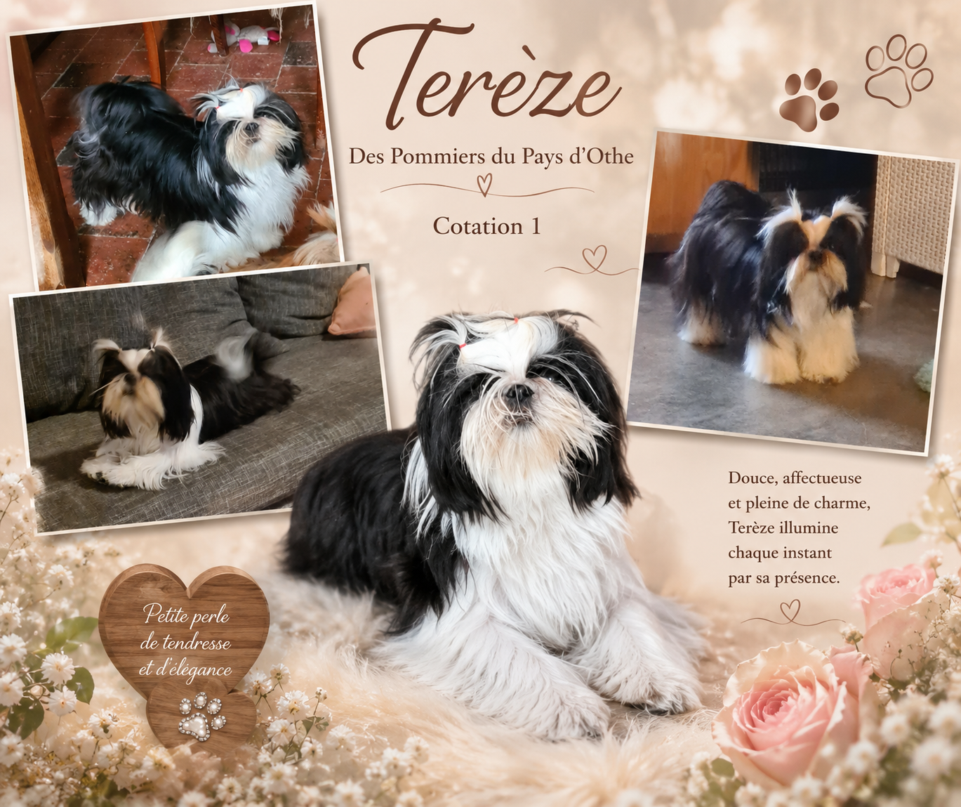 Terèze des Pommiers du Pays d'Othe
