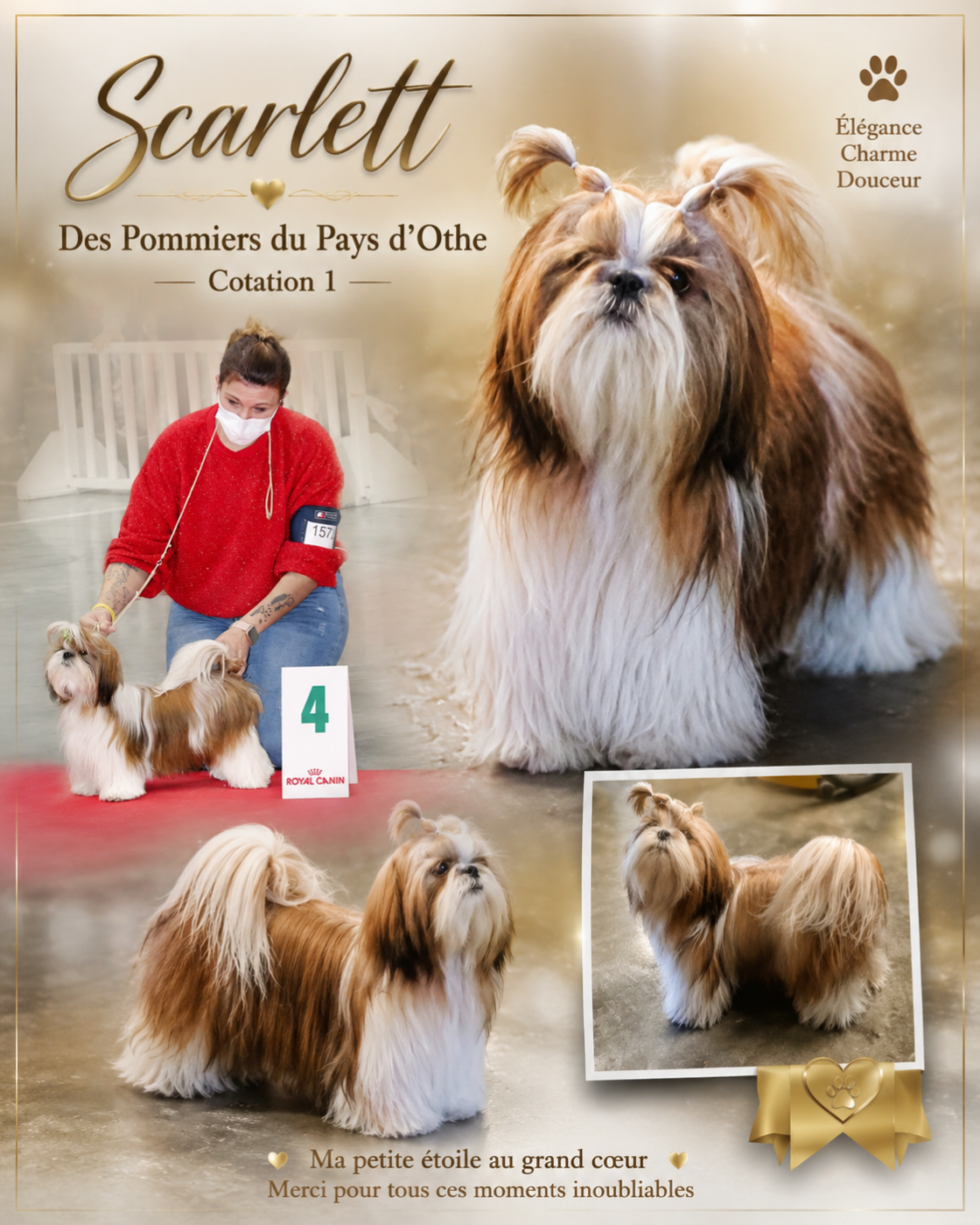 Scarlett des Pommiers du Pays d'Othe