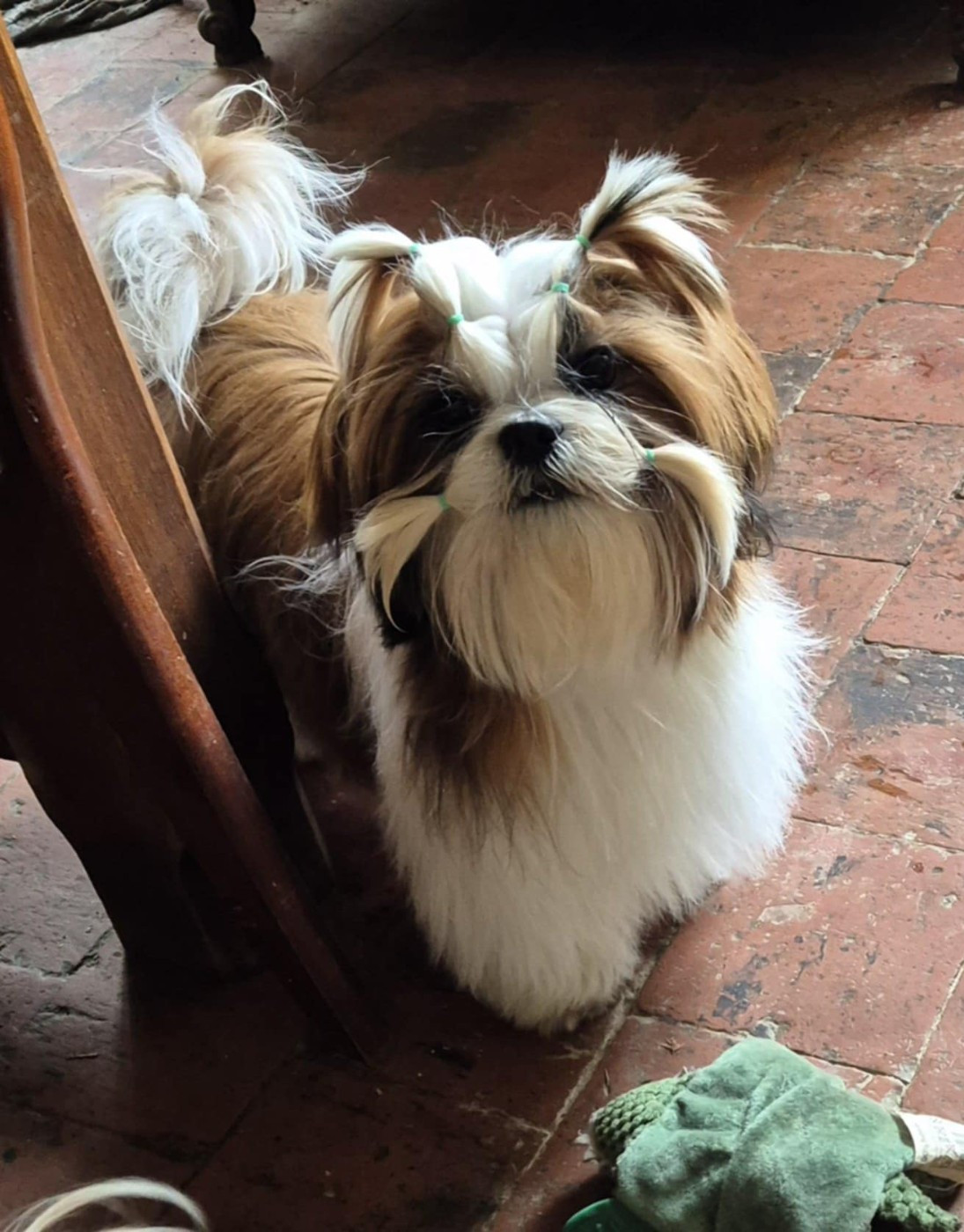 Very a lot of forever des Pommiers du Pays d'Othe