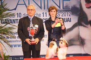 des Pommiers du Pays d'Othe - CACS Douai - 10 mars 2012