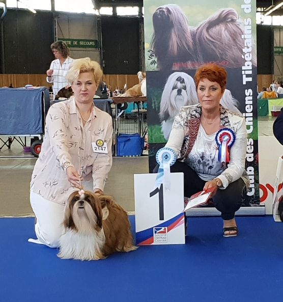 des Pommiers du Pays d'Othe - Grand prix de France - 01/06/2019