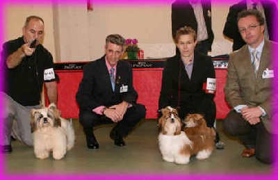 des Pommiers du Pays d'Othe - Nationale d'élevage à ORLEANS 2009