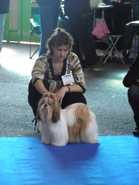 EXPO MONTLUCON 2008